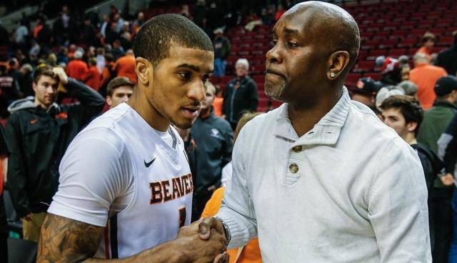 机会借助巴 机会借助巴