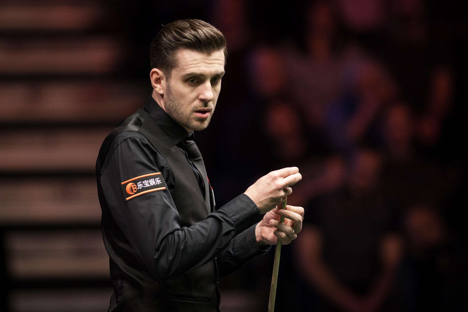 与持续百年 与持续百年